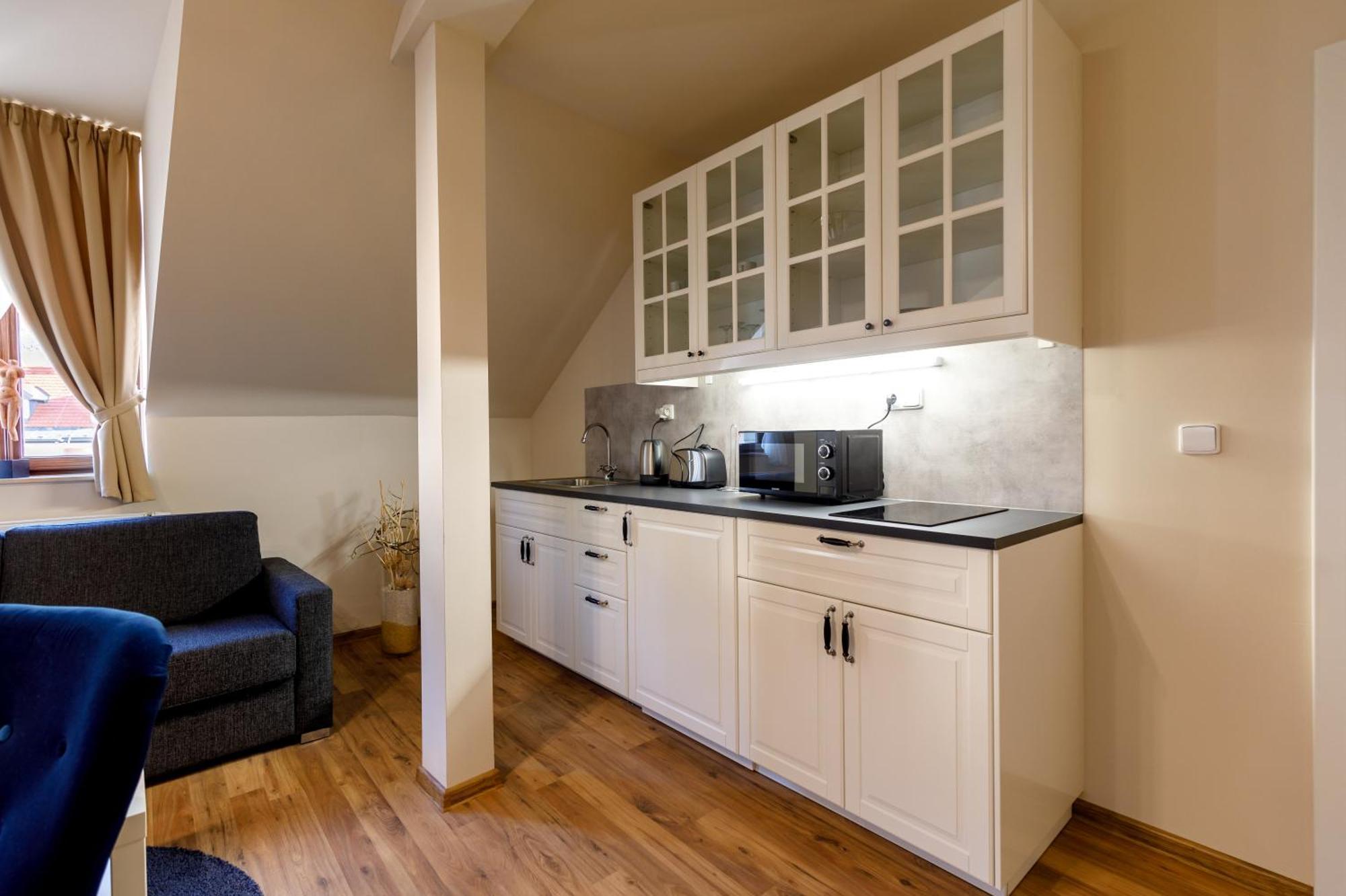 Apartments Menuet Karlovy Vary Room photo